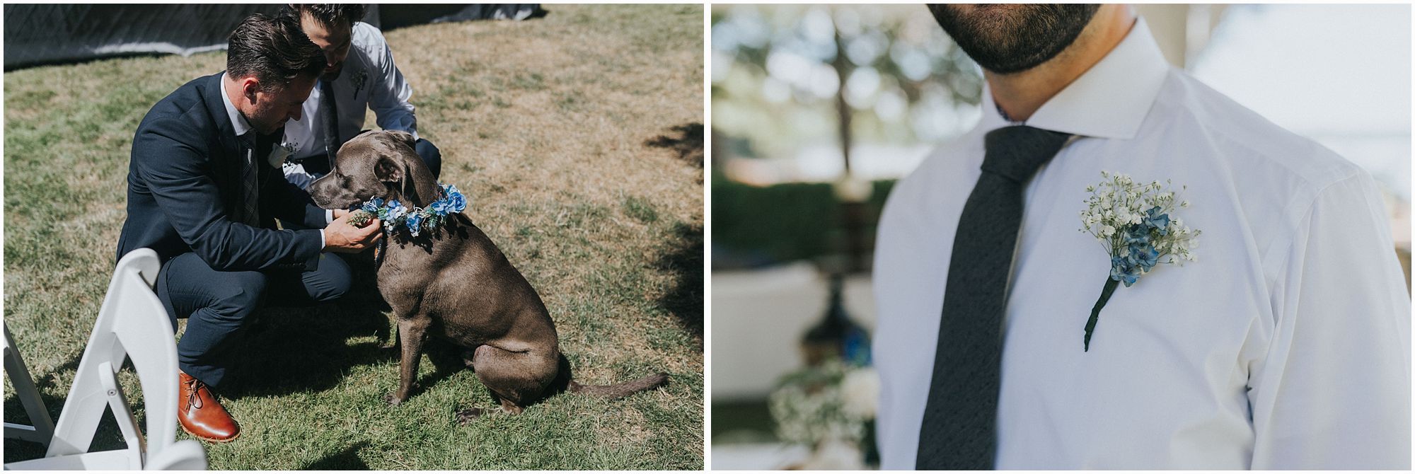 groom and his dog on his wedding 