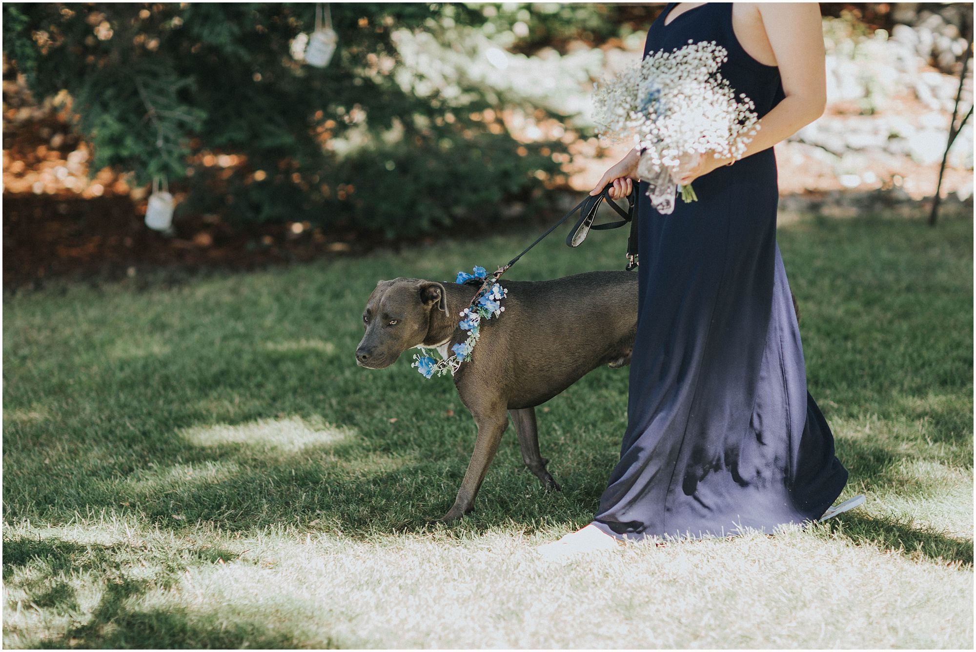 flower dog on wedding day 