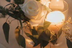 SummerRaynePhoto_Wagsfest_Blog-155