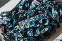 SummerRaynePhoto_Wagsfest_Blog-3