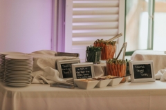 SummerRaynePhoto_Wagsfest_Blog-94
